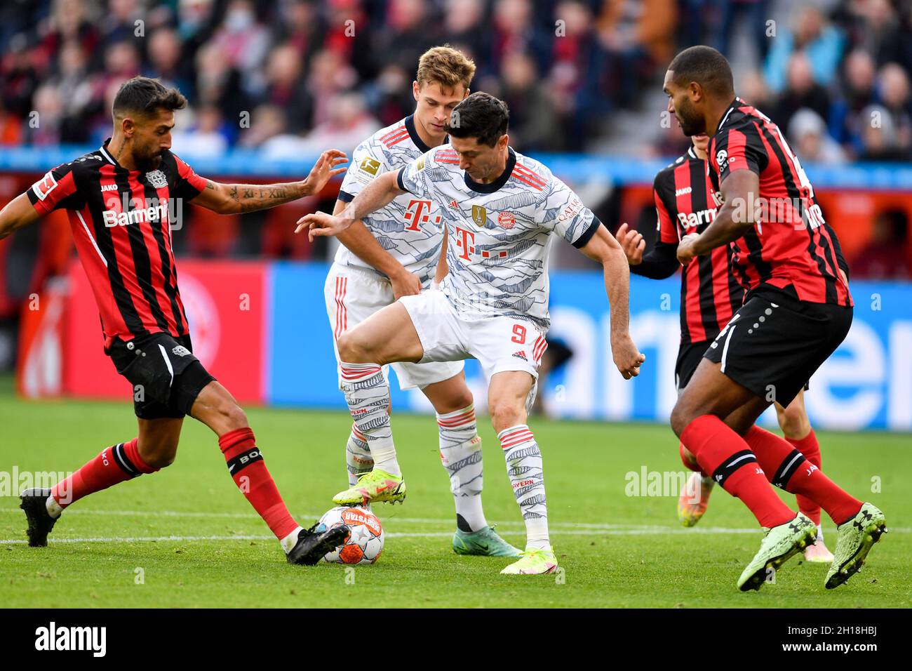 Leverkusen, Deutschland. Oktober 2021. Bayer Leverkusen und Bayern München spielen ihr achtes Bundesliga-Spiel der Saison in der BayArena. Bayer Leverkusens Kerem Demirbay (links) und Jonathan Tah (rechts) versuchen mit dem polnischen Stürmer Robert Lewandowski, der beim Sieg von Bayern München 5-1 zwei der fünf Tore erzielte, um den Ball zu kämpfen. Quelle: Marius Becker/dpa/Alamy Live News Stockfoto