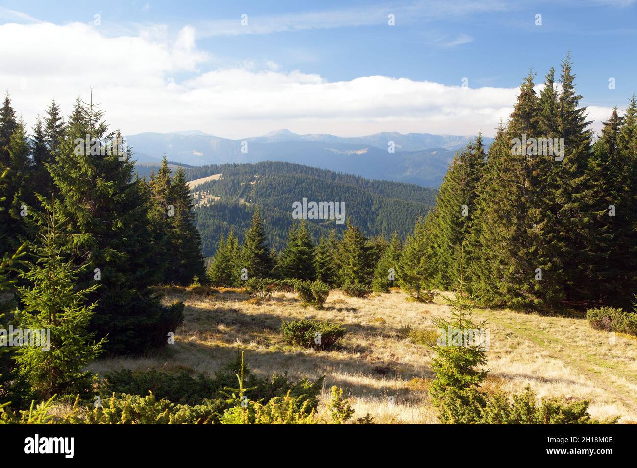 Panoramablick auf den Berg Hoverla oder Goverla, Ukraine Karpaten Berge Stockfoto