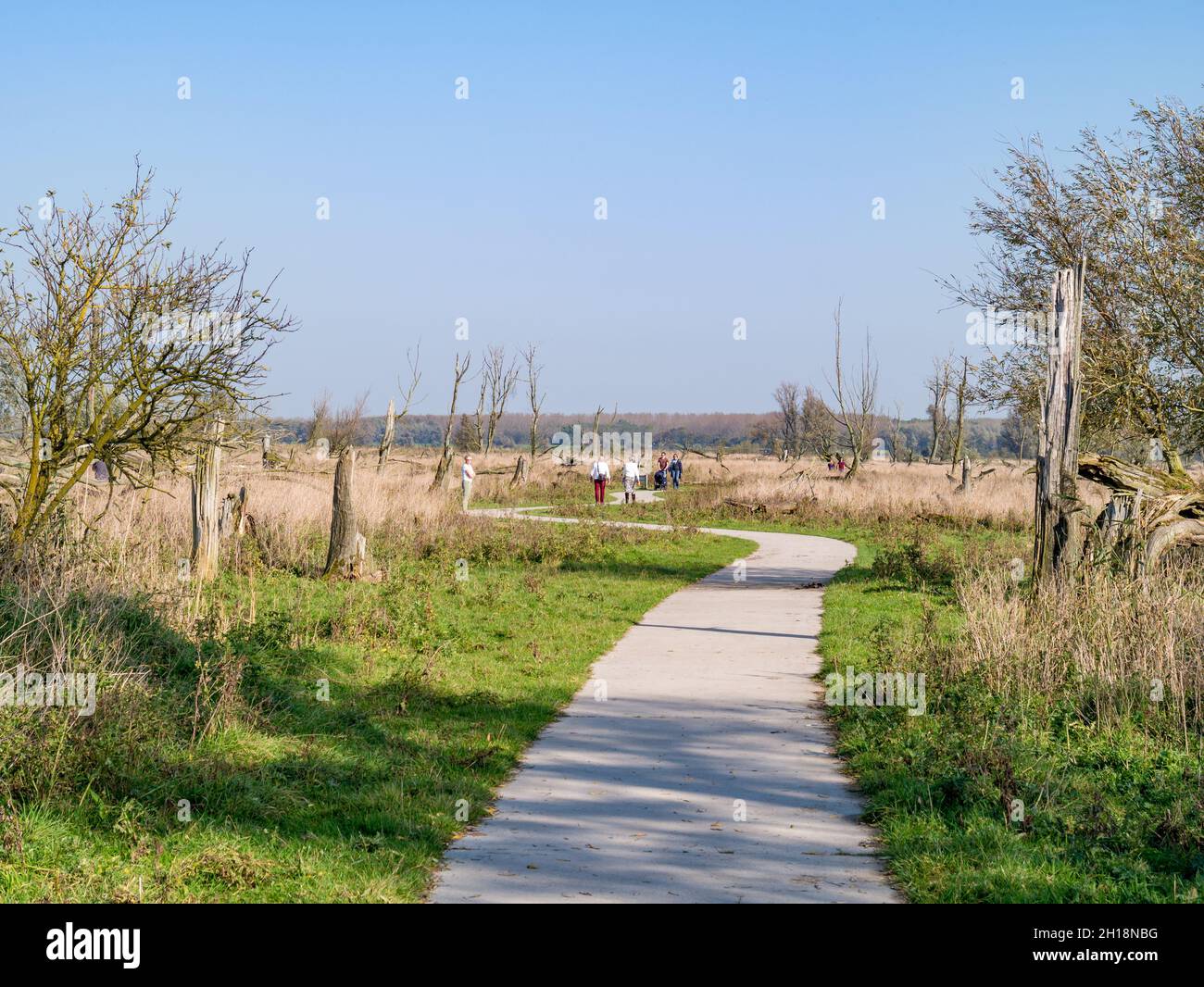 Menschen, die auf einem Fußweg im Naturschutzgebiet Oostvaardersplassen, Flevoland, Niederlande, wandern Stockfoto