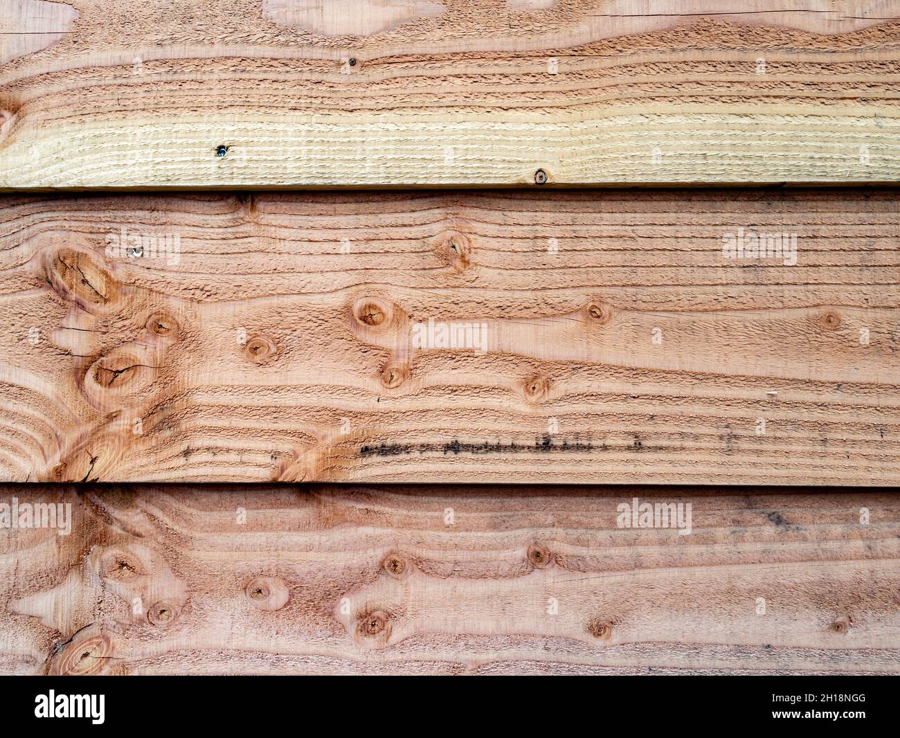 Drei vor kurzem gesägte Holzplanken aus der Douglasie, Pseudotsuga menzierii, Baum, der als Gartenzaun verwendet wird Stockfoto