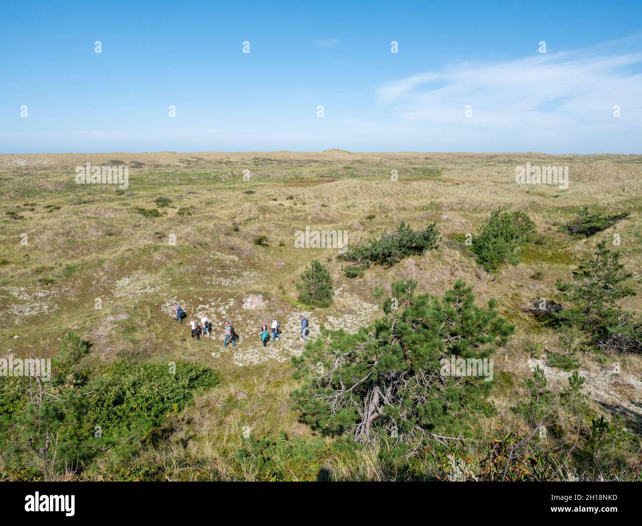 Wandergruppe Wandern in den Dünen des Naturschutzgebietes der westfriesischen Insel Vlieland, Friesland, Niederlande Stockfoto