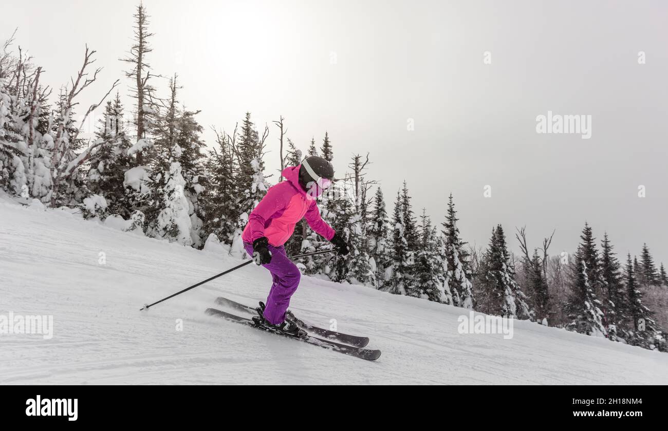 Skifahrerin, die auf weißem Schnee schnell den Berghang hinunter fährt, mit einer Baumlandschaft, die rosa Oberbekleidung trägt. Wintersportort, Menschen Skifahren Stockfoto