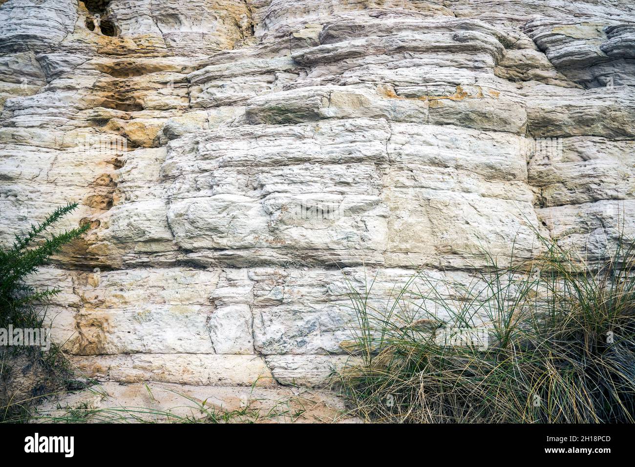 Während der Eozän-Zeit bildeten sich Sandsteinschichten, die die Ostklippe bei Bournemouth in Dorset UK bilden Stockfoto