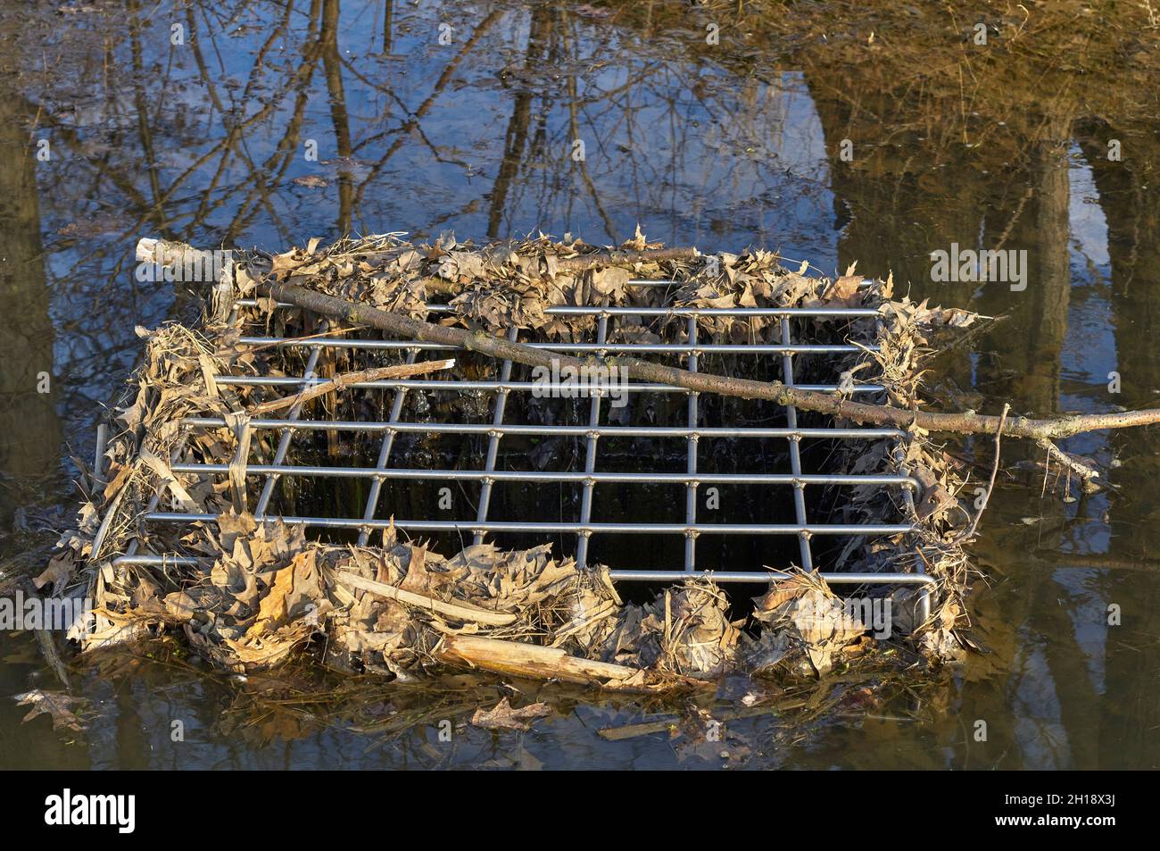 Abfluss teich Fotos und Bildmaterial in hoher Auflösung Alamy