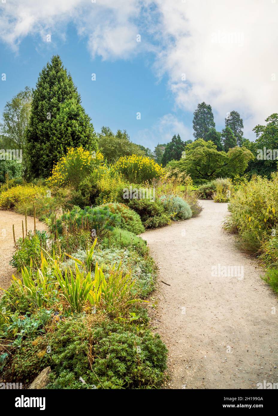 Blick auf den Botanischen Garten der Cambridge University in voller Blüte 2021. Stockfoto