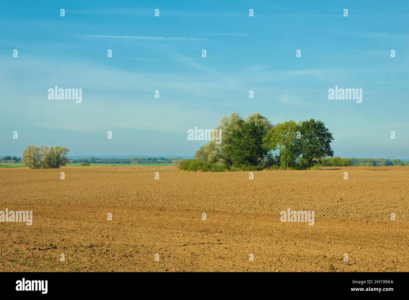 Gepflügte Feldlandschaft Herbst sonnig Tageszeit Landwirtschaft. Stockfoto