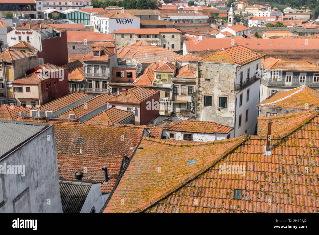 Dächer des Viertels Gaia mit Portweinkellern, Porto, Portugal Stockfoto