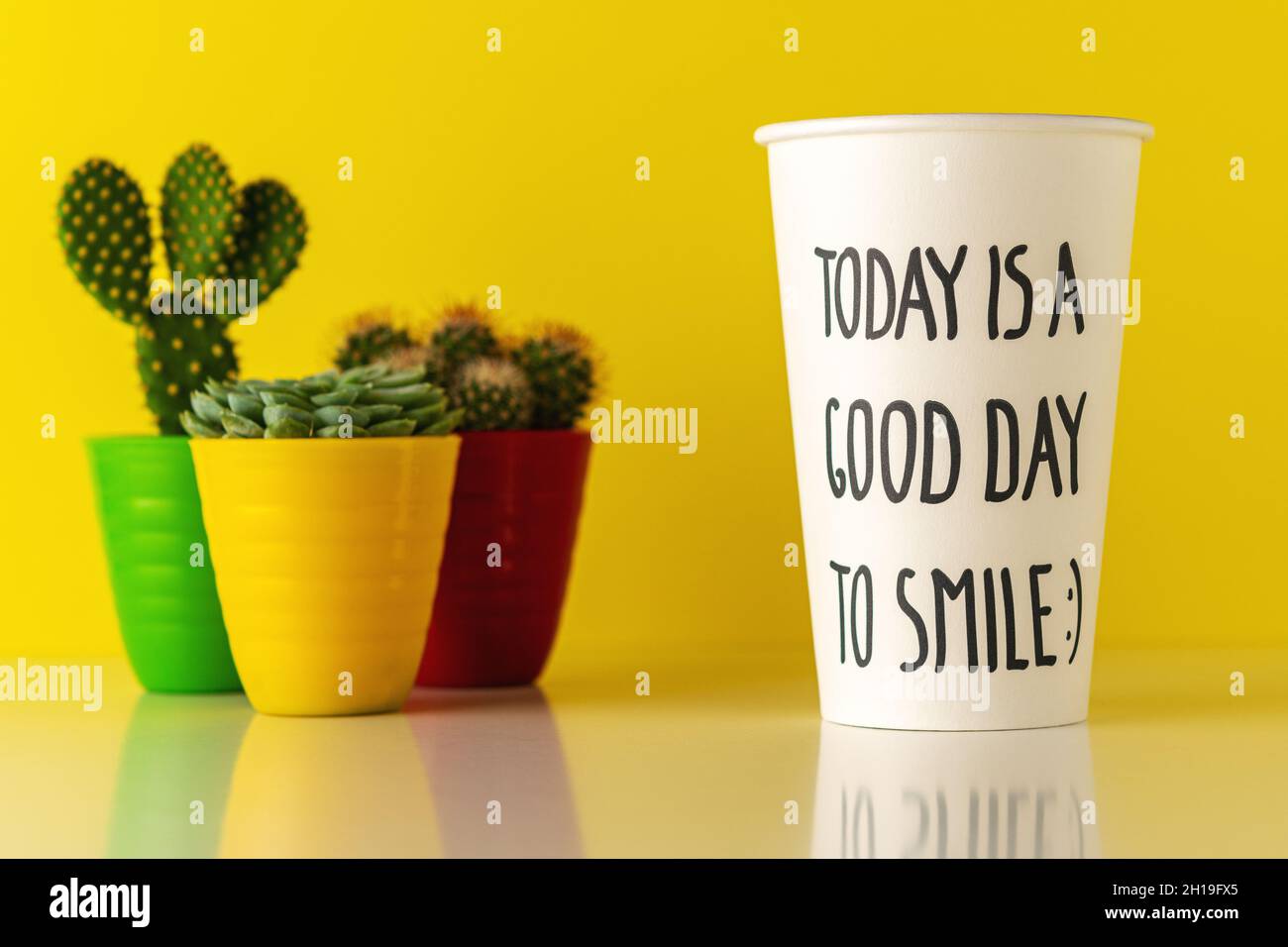 Kaktus im Topf mit einer Papiertasse Kaffee auf einem Holzschreibtisch.  Minimales Konzept fr einen guten Tag Stockfotografie - Alamy