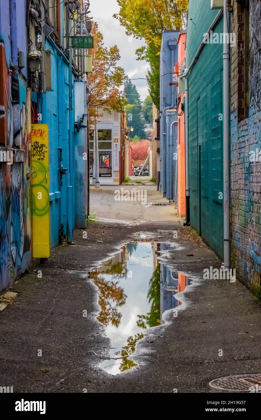 Bunte Gasse mit Graffiti nach einem Regen in Olympia, Washington, USA [Keine Eigentumsfreigabe; nur redaktionelle Lizenzierung] Stockfoto