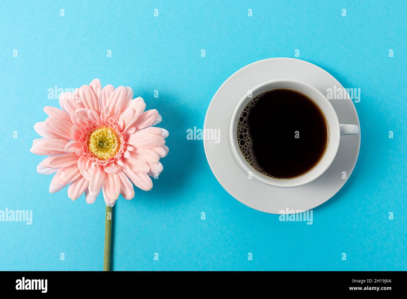 Kreative Komposition aus Gänseblümchen und einer Tasse Kaffee auf blauem Hintergrund. Minimales Federkonzept. Stockfoto