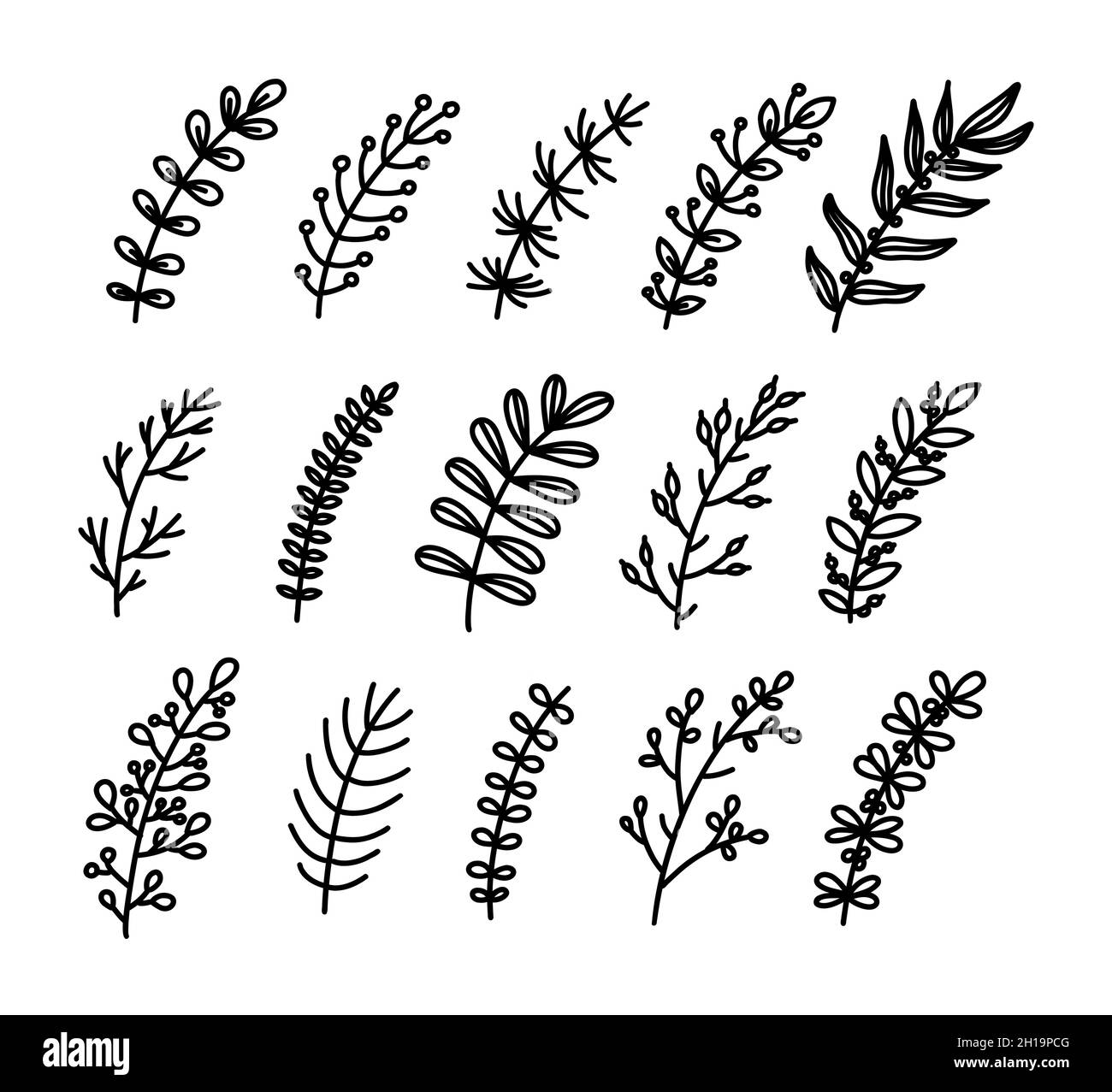 Doodle-Zweig. Handgezeichnetes Set mit Blumenmuster. Vektor dekorative Blätter. Stock Vektor