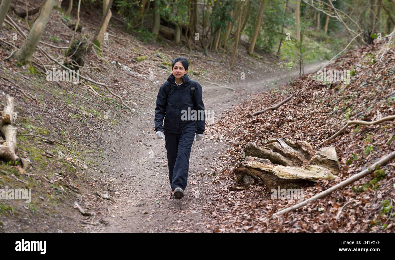 Britisch-asiatische Inderin, die allein im Winter durch Wald oder Wald auf einem Fußweg in englischer Landschaft, Großbritannien, wandert Stockfoto
