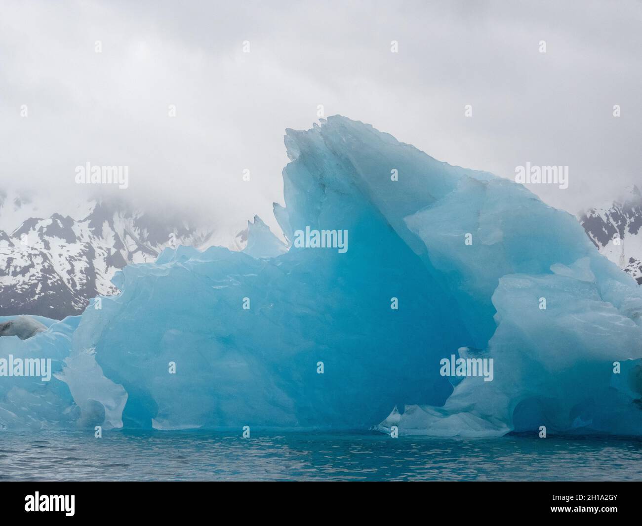 Bär Gletscherlagune, Kenai Fjords National Park, in der Nähe von Seward, Alaska. Stockfoto