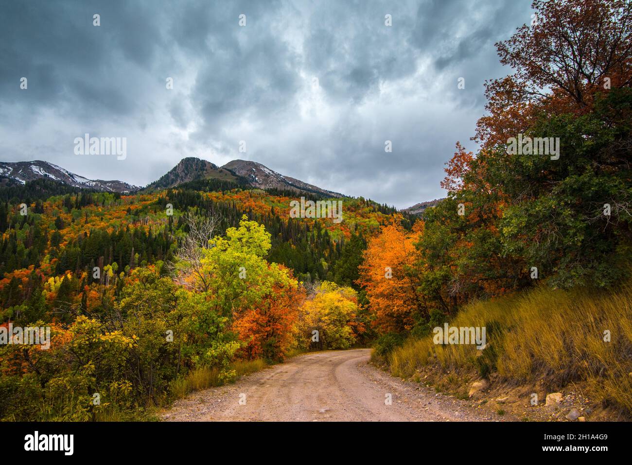 Herbst - Silver Lake Road - American Fork Canyon - Utah Stockfoto