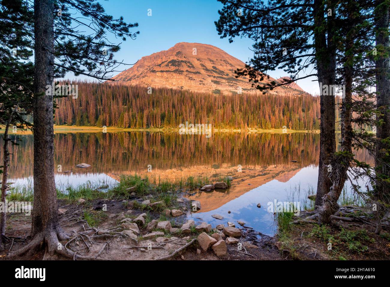 Der bald Mountain spiegelt sich in Mirror Lake - Uinta Mountain Range - Utah wider Stockfoto