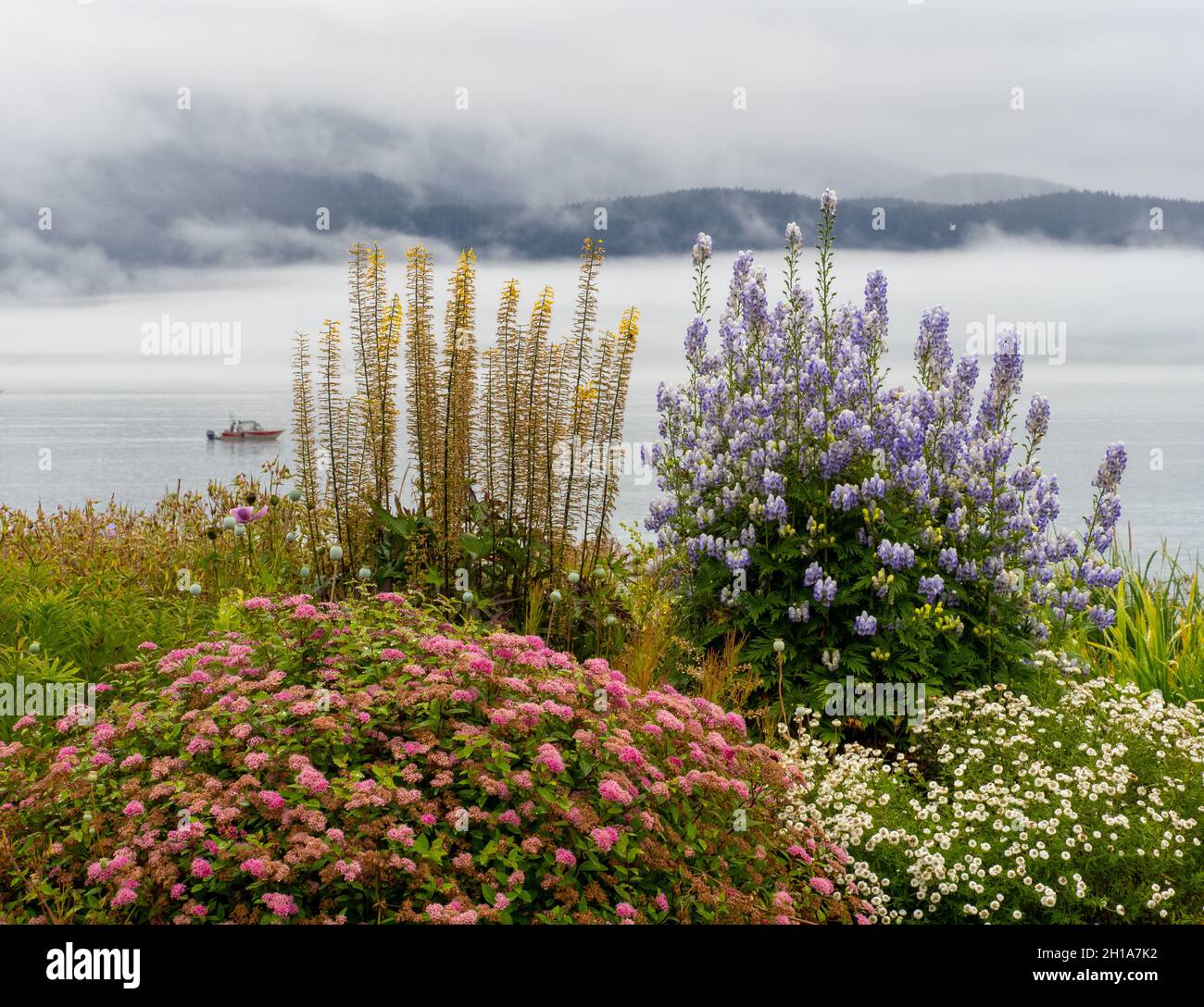 Resurrection Bay, Seward, Alaska. Stockfoto