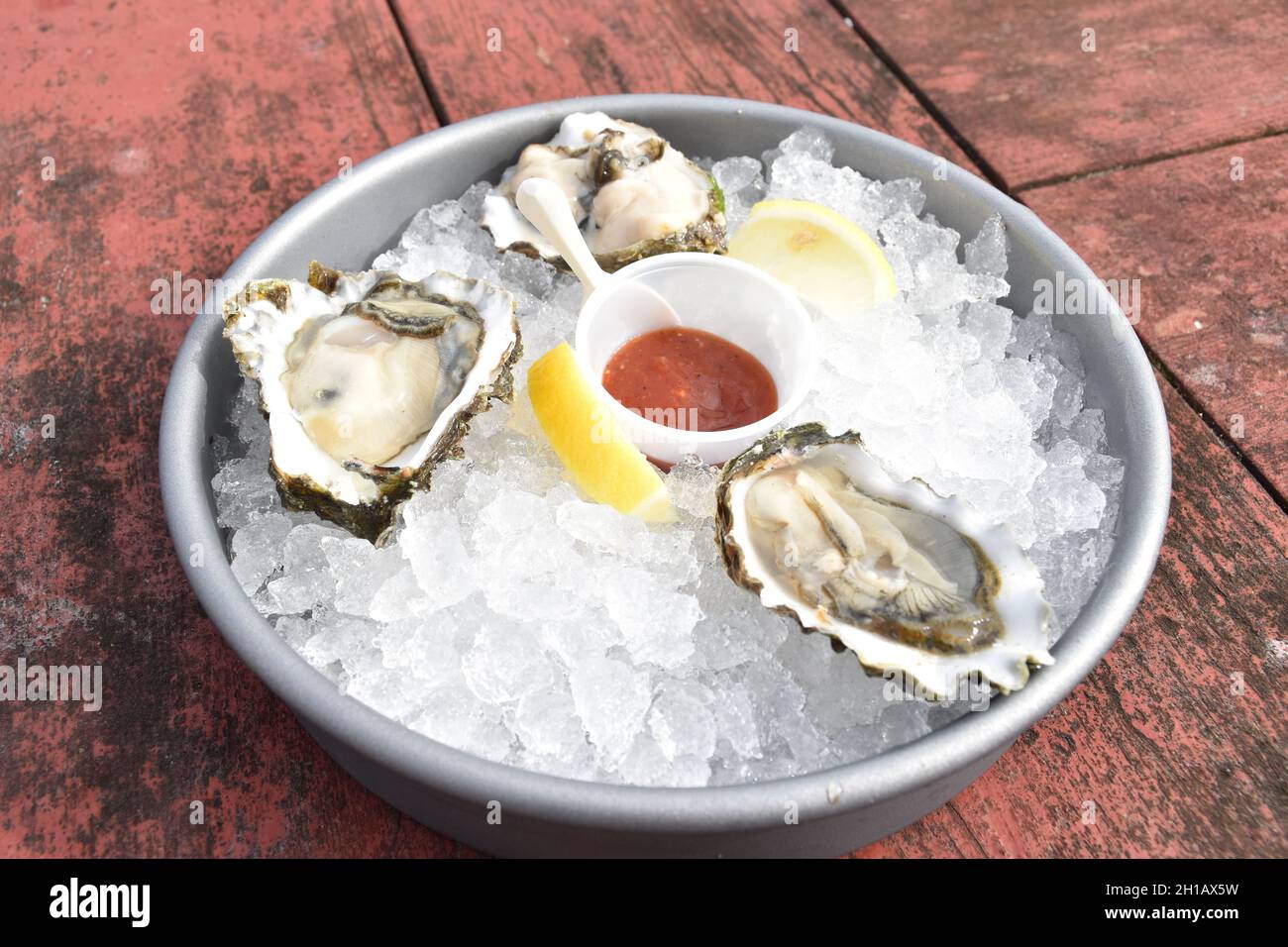 Frische Austern auf der Halbschale und Eis auf dem Deck der Oysterville Sea Farms, Willapa Bay, Long Beach Peninsula, Washington State, USA. Stockfoto