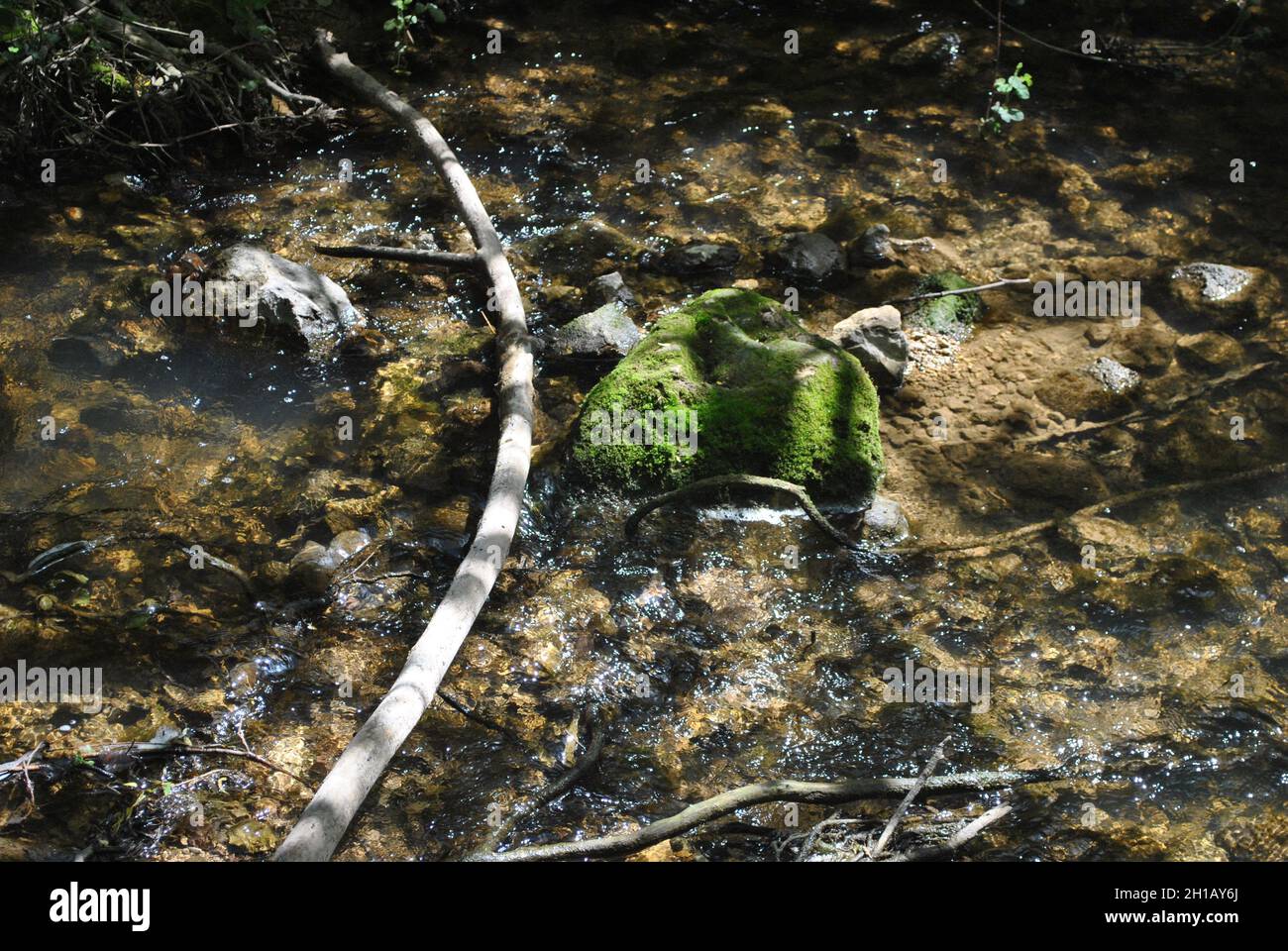 Brooks Bank in Nord-Israel. Ayun Stream Nature Reserve Stockfoto