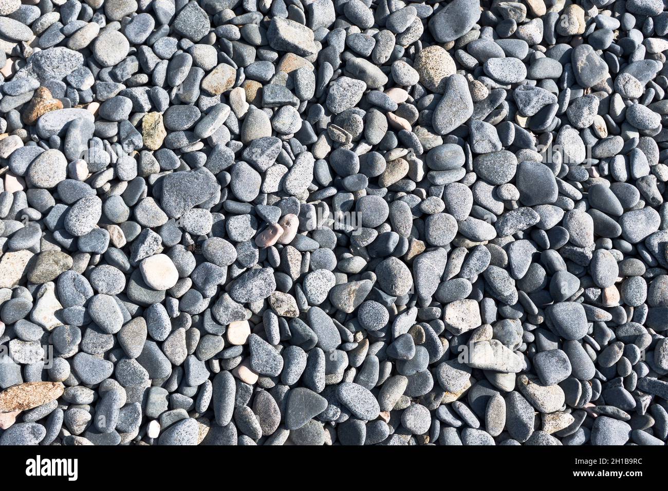 dh Gray Pebbles BEACH GUERNSEY Strände runde graue Kieselsteine Felsen felsigen Hintergrund Textur Stockfoto