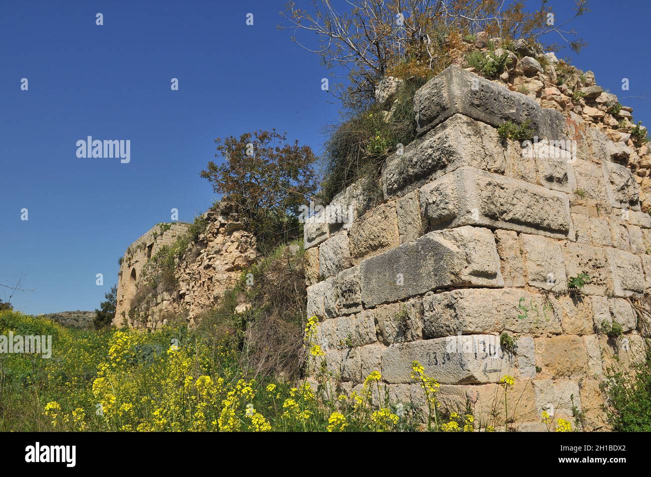 Die Außenmauern der Ruinen der Kreuzritterfestung Chateau Neuf - Metsurat Hunin befinden sich am Eingang zum israelischen Margaliot Dorf im Upp Stockfoto