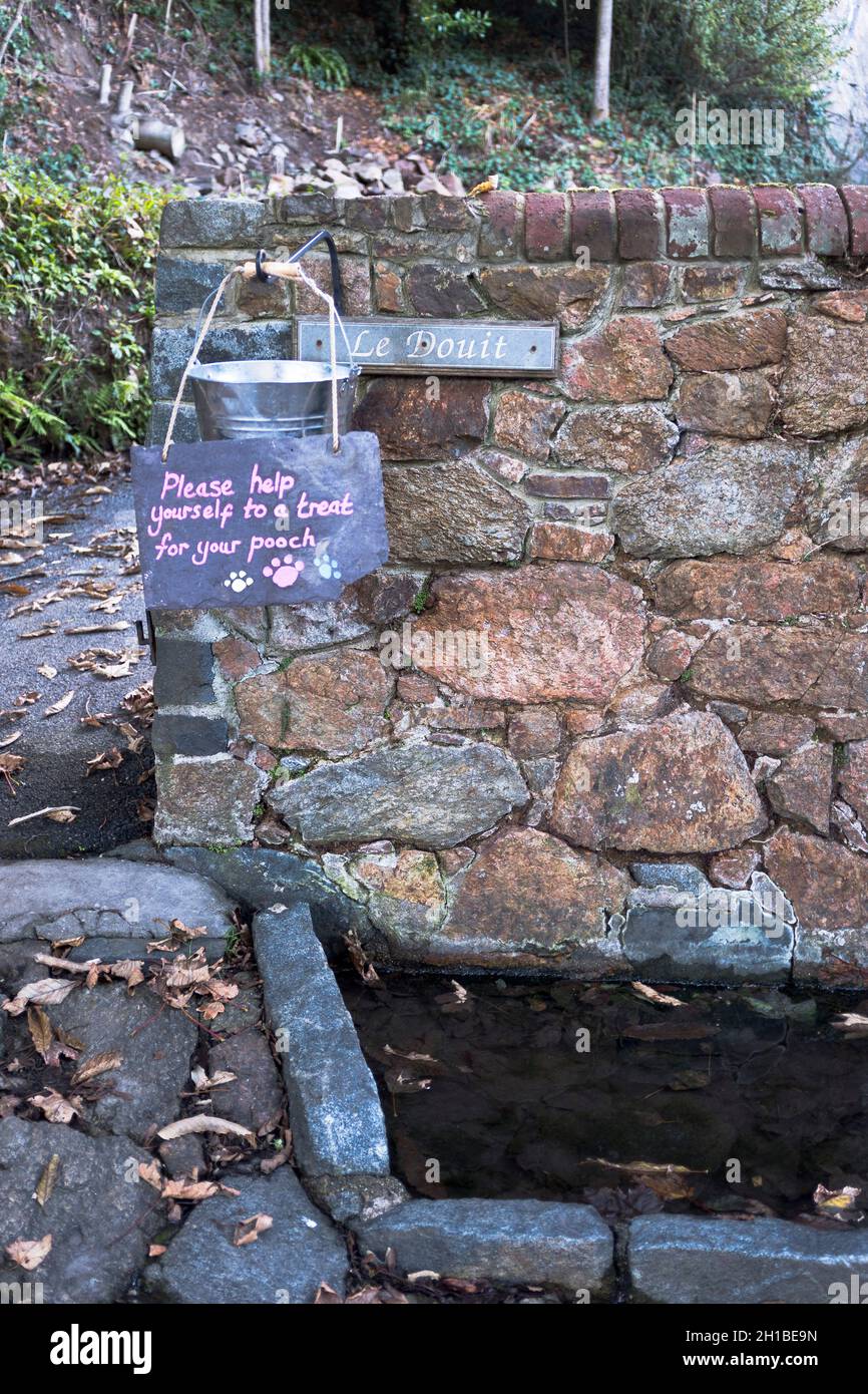 dh ST MARTIN GUERNSEY Tierhundefreundlich Bewässerung Hole Station Hunde Trinkwasser Eimer Stockfoto