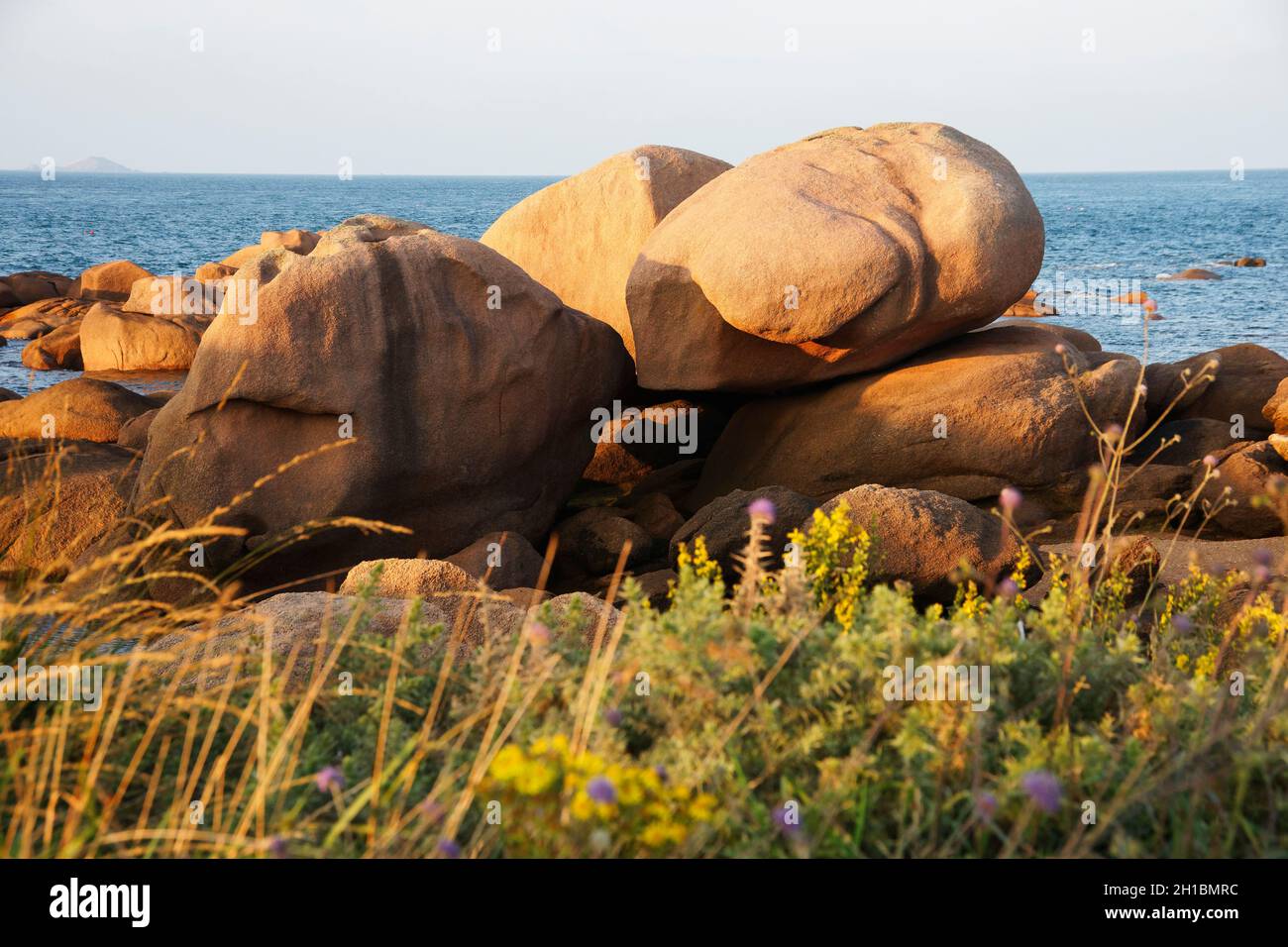 Insel Rénote, in Trégastel (Côte de Granite Rose, Côtes d'Armor, Bretagne, Frankreich). Stockfoto