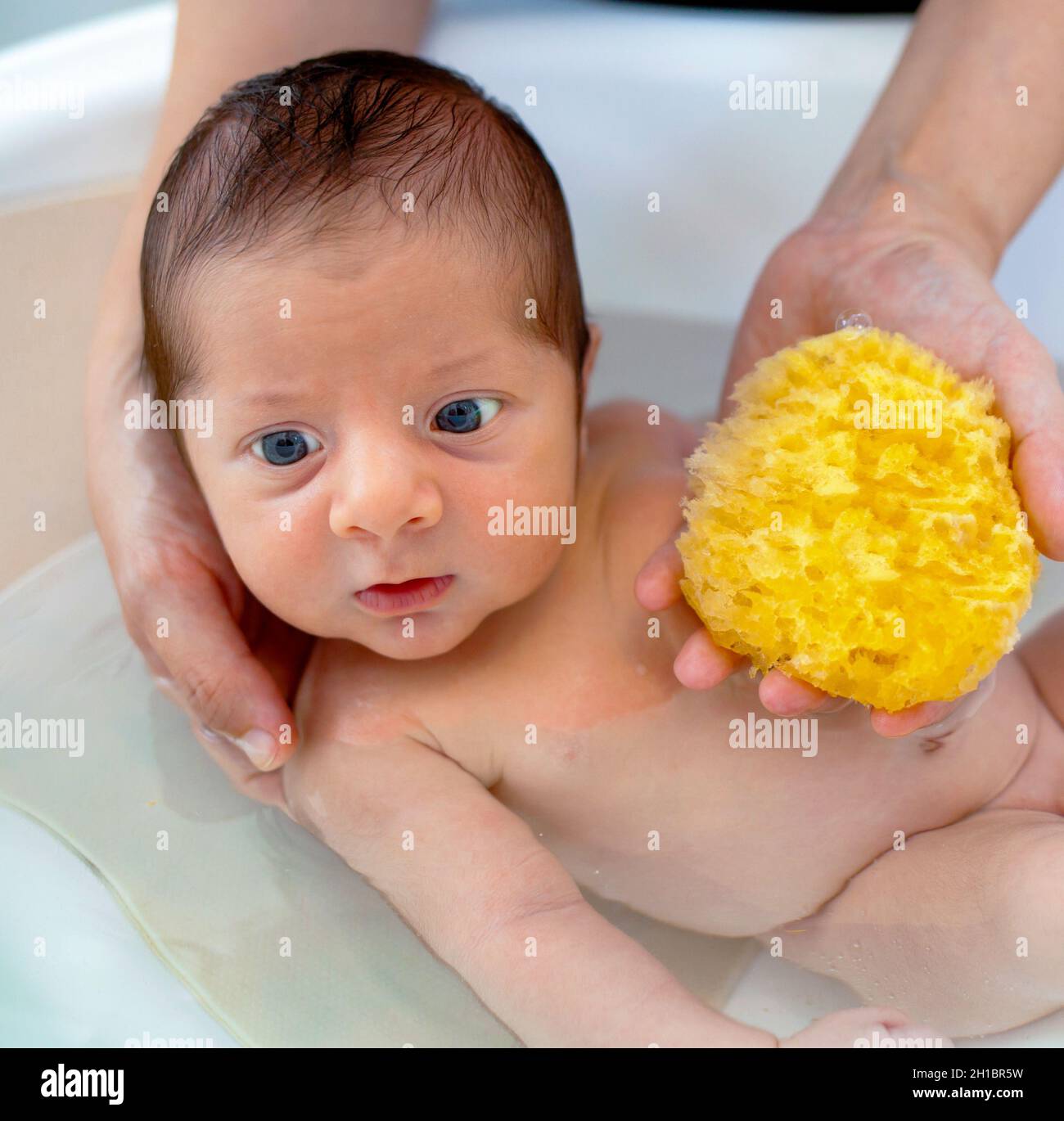 Erstes Bad des neugeborenen Jungen.die Mutter wäscht das Baby mit natürlichem Schwamm. Stockfoto