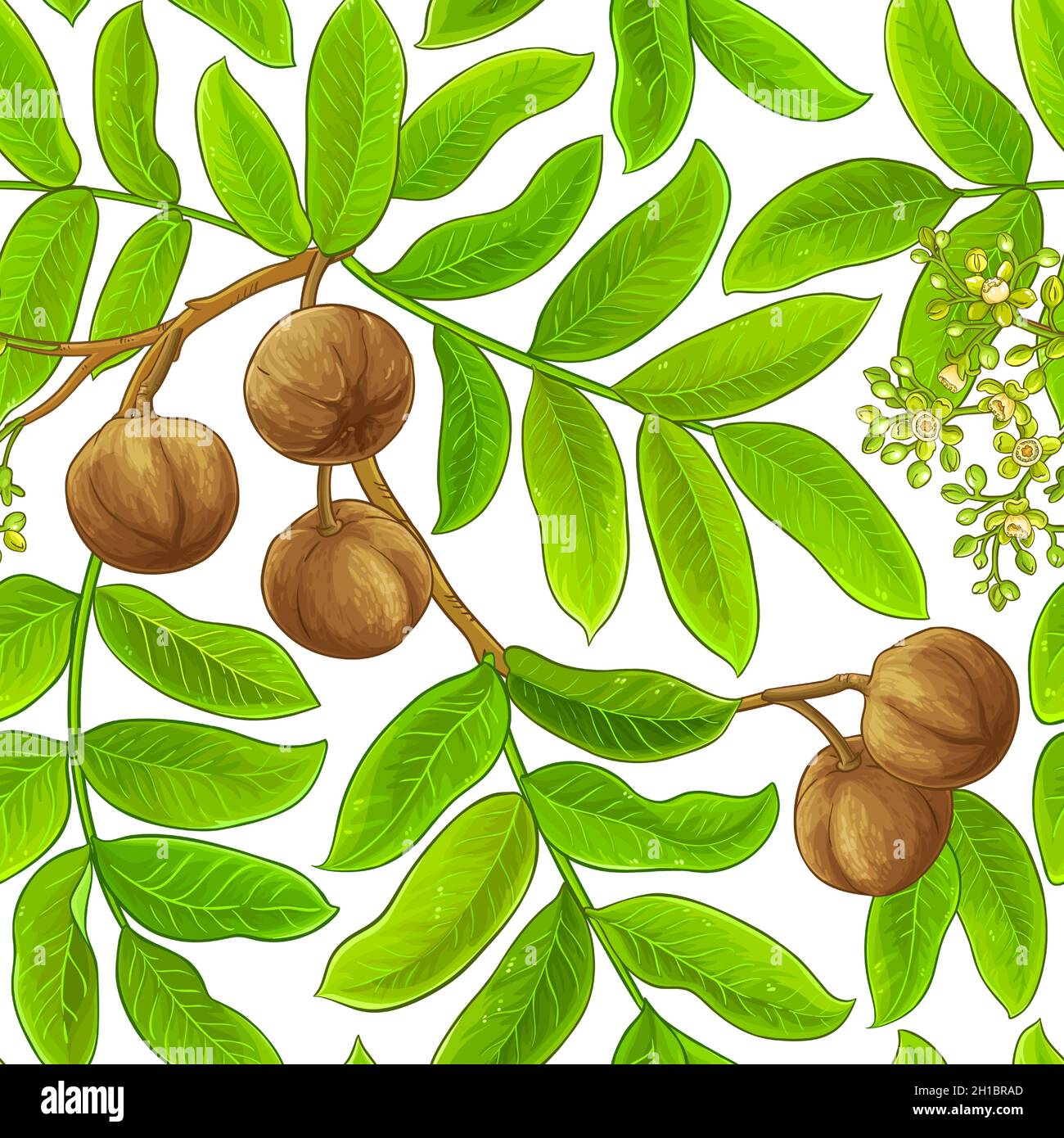 andiroba Vektormuster auf weißem Hintergrund Stock Vektor