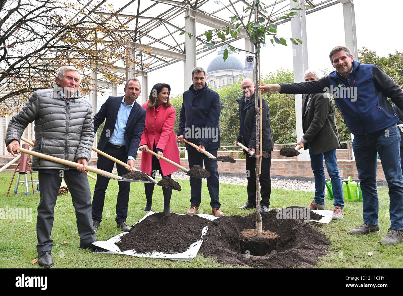 München, Deutschland. 18. Oktober 2021: Von links: Alois GLUECK, Umweltminister Thorsten GLAUBER, Landwirtschaftsministerin Michaela KANIBER, Markus SOEDER (Ministerpräsident Bayern und CSU-Vorsitzender), Norbert Schäfer (Landesverband für Vogelschutz Bayern), Richard MERGNER (Bund Naturschutz Bayern) Pflanzen einen Kirschbaum - eine Hedelfinger-Riesenkirsche. Pressekonferenz der Bayerischen Staatsregierung zum Thema Ergebnisse nach dem Rundtisch STREUOBST am 18. Oktober 2021 im Hofgarten in München. Quelle: dpa picture Alliance/Alamy Live News Stockfoto