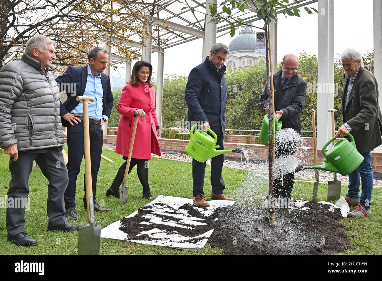 München, Deutschland. 18. Oktober 2021: Von links: Alois GLUECK, Umweltminister Thorsten GLAUBER, Landwirtschaftsministerin Michaela KANIBER, Markus SOEDER (Ministerpräsident Bayern und CSU-Vorsitzender), Norbert Schäfer (Landesverband für Vogelschutz Bayern), Richard MERGNER (Bund Naturschutz Bayern) gießen einen Kirschbaum - eine zuvor gepflanzte Hedelfinger-Riesenkirsche. Pressekonferenz der Bayerischen Staatsregierung zum Thema Ergebnisse nach dem Rundtisch STREUOBST am 18. Oktober 2021 im Hofgarten in München. Quelle: dpa picture Alliance/Alamy Live News Stockfoto