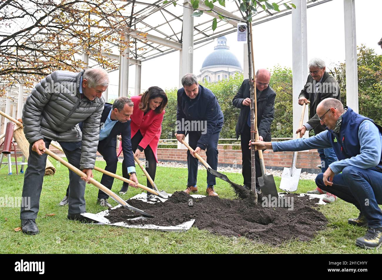 München, Deutschland. 18. Oktober 2021: Von links: Alois GLUECK, Umweltminister Thorsten GLAUBER, Landwirtschaftsministerin Michaela KANIBER, Markus SOEDER (Ministerpräsident Bayern und CSU-Vorsitzender), Norbert Schäfer (Landesverband für Vogelschutz Bayern), Richard MERGNER (Bund Naturschutz Bayern) Pflanzen einen Kirschbaum - eine Hedelfinger-Riesenkirsche. Pressekonferenz der Bayerischen Staatsregierung zum Thema Ergebnisse nach dem Rundtisch STREUOBST am 18. Oktober 2021 im Hofgarten in München. Quelle: dpa picture Alliance/Alamy Live News Stockfoto