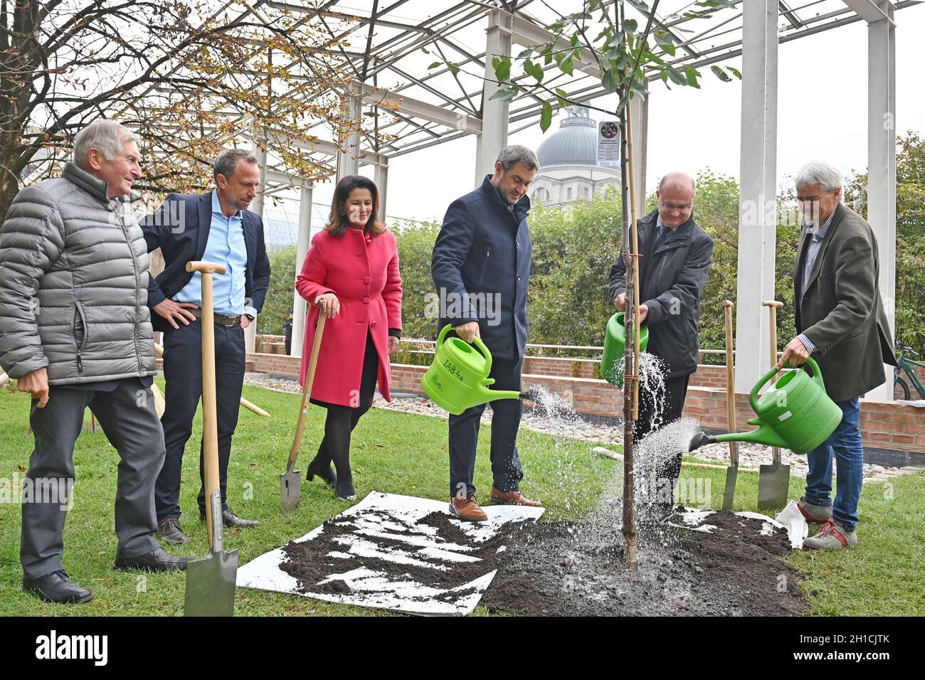 Von links: Alois GLUECK, Umweltminister Thorsten GLAUBER, Landwirtschaftsministerin Michaela KANIBER, Markus SOEDER (Ministerpräsident Bayern und CSU-Vorsitzender), Norbert Schäfer (Landesverband für Vogelschutz Bayern), Richard MERGNER (Bund Naturschutz Bayern) gießen einen Kirschbaum - eine zuvor gepflanzte Hedelfinger-Riesenkirsche. Pressekonferenz der Bayerischen Staatsregierung zum Thema Ergebnisse nach dem Rundtisch STREUOBST am 18. Oktober 2021 im Hofgarten in München. Stockfoto