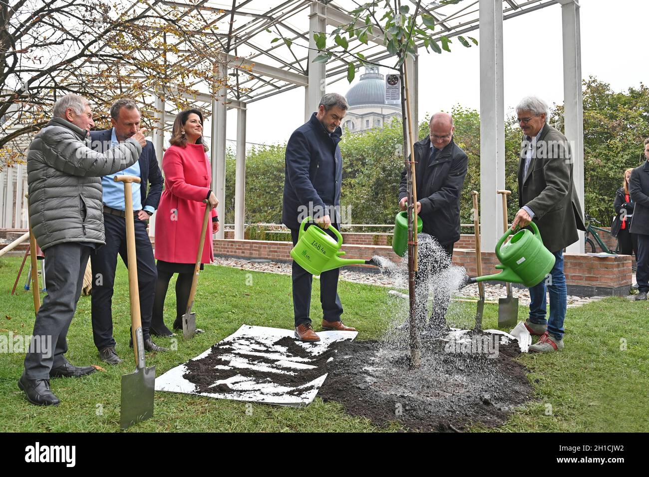 Von links: Alois GLUECK, Umweltminister Thorsten GLAUBER, Landwirtschaftsministerin Michaela KANIBER, Markus SOEDER (Ministerpräsident Bayern und CSU-Vorsitzender), Norbert Schäfer (Landesverband für Vogelschutz Bayern), Richard MERGNER (Bund Naturschutz Bayern) gießen einen Kirschbaum - eine zuvor gepflanzte Hedelfinger-Riesenkirsche. Pressekonferenz der Bayerischen Staatsregierung zum Thema Ergebnisse nach dem Rundtisch STREUOBST am 18. Oktober 2021 im Hofgarten in München. Stockfoto