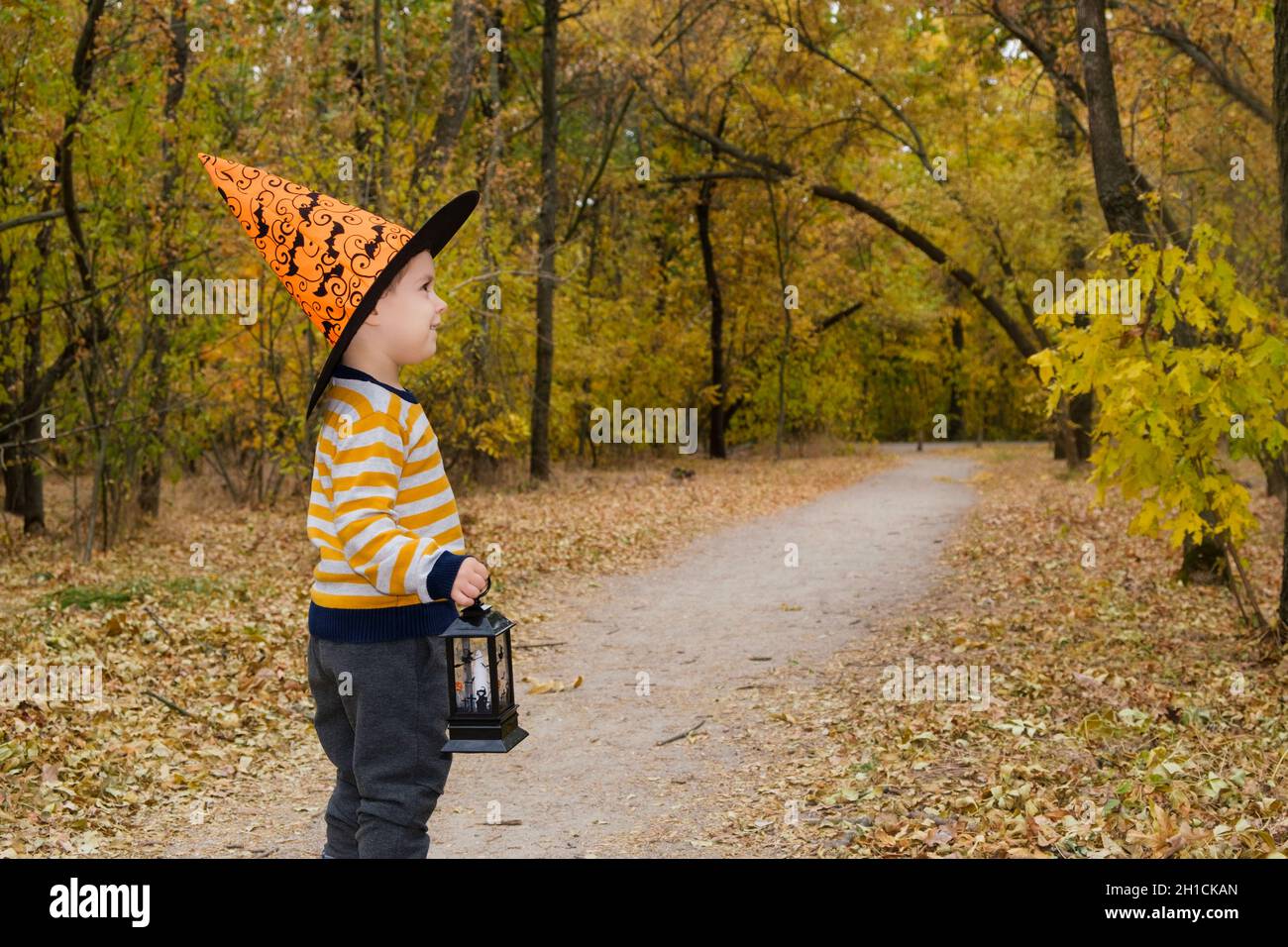 Ein Vorschuljunge spaziert mit einer Laterne im Halloween Herbstwald Stockfoto