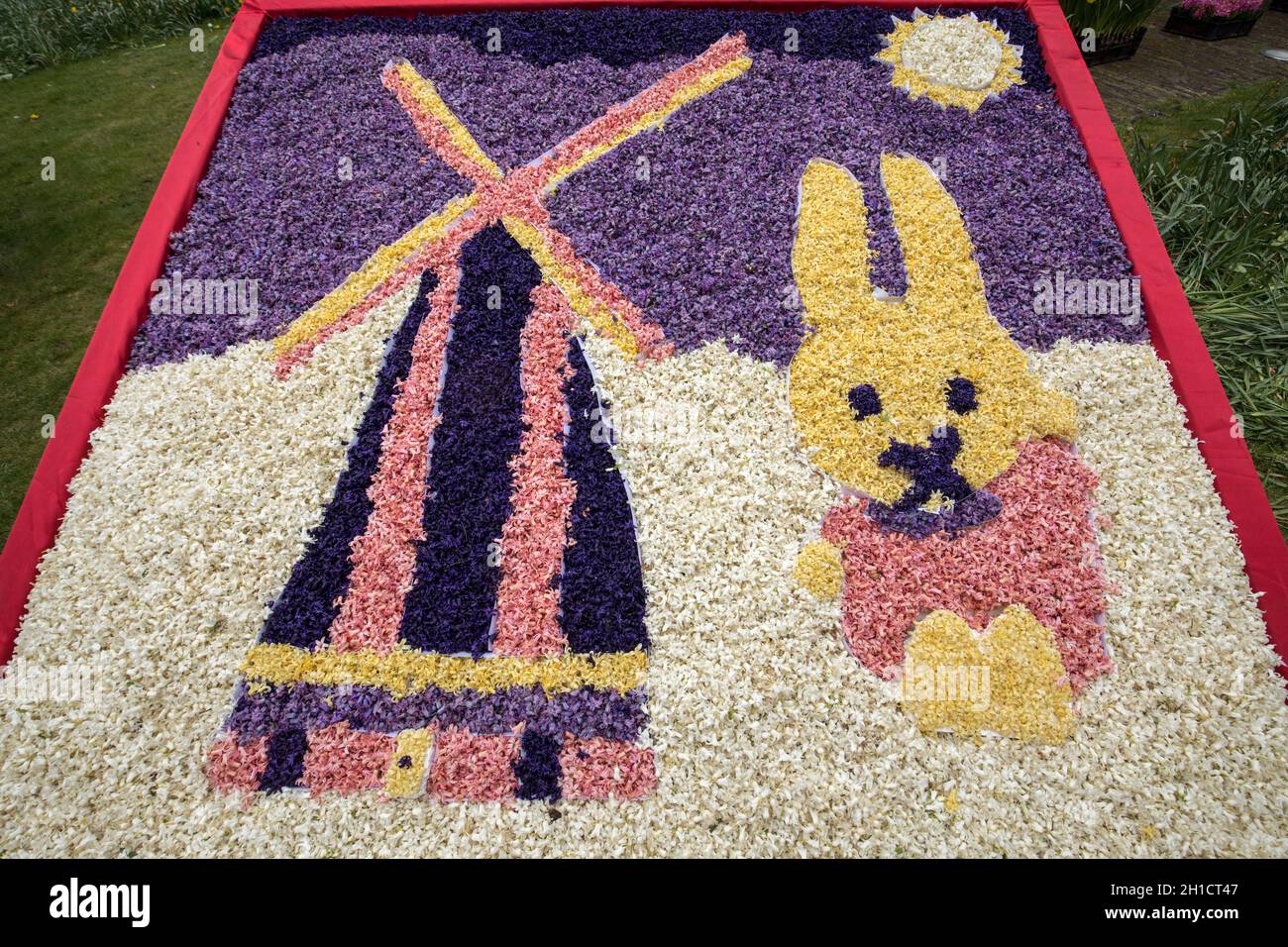 Noordwijkerhout, Niederlande - 23 April, 2017: Traditionelle Windmühle und Osterhasen aus Hyazinthen im traditionellen Blumen parade Bloemencors Stockfoto