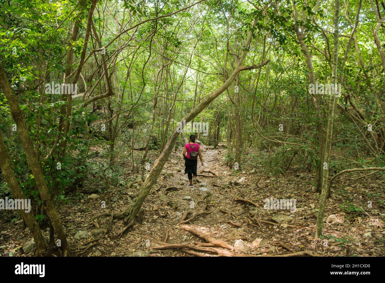 Die Landschaft auf dem Weg zum Khua Kharuehat Pavillon der Tham Phraya Nakhon Höhle und hat Laem Sala im Khao Sam ROI Yot Nationalpark auf der Stockfoto