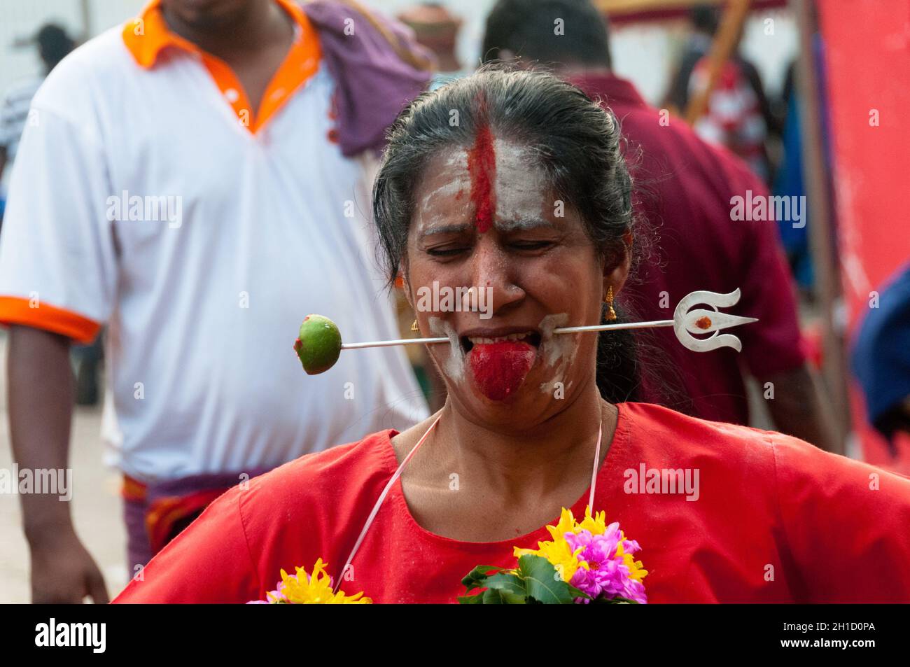 20. Januar 2011 - Kuala Lumpur, Malaysia: Eine Frau, die Wangen devoteem abgab, spieß sich während des jährlichen Thaipusam-Festivals in Kuala Lumpur als ein Akt der Hingabe an Stockfoto
