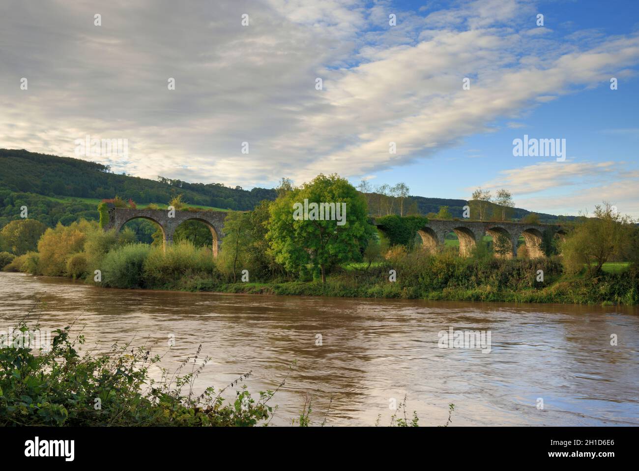 Chippenham Meadow Viaduct und der Fluss Wye, Monmouth. Stockfoto