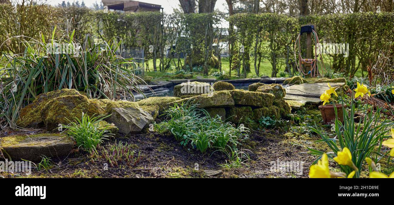 Moosbedeckte Steine umgeben den Ententeich auf der Moorlandschaft, die auf 900 Fuß liegt Stockfoto