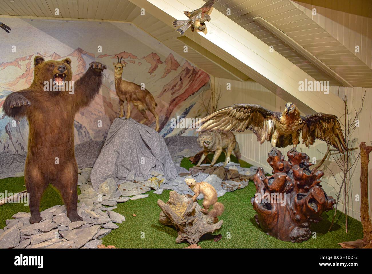 Lourdes, Frankreich - Wildtierausstellung im Pyrenäenmuseum Stockfoto