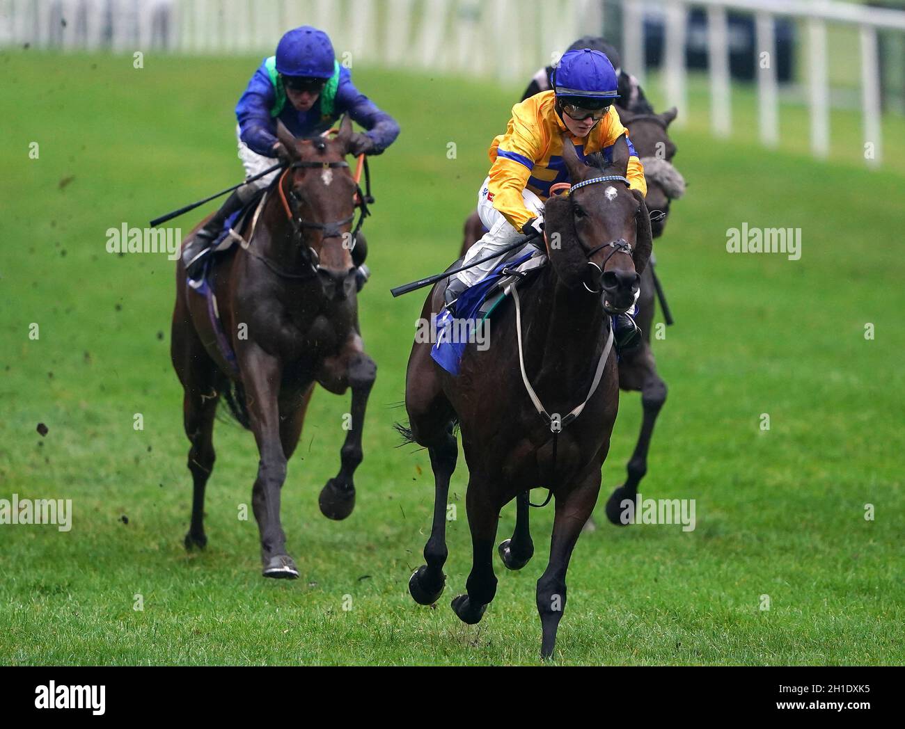 Hirsch Horn von Jockey Hollie Doyle gewinnt die Phil Bull Trophy Conditions Stakes auf der Pontefract Racecourse, West Yorkshire. Bilddatum: Montag, 18. Oktober 2021. Stockfoto