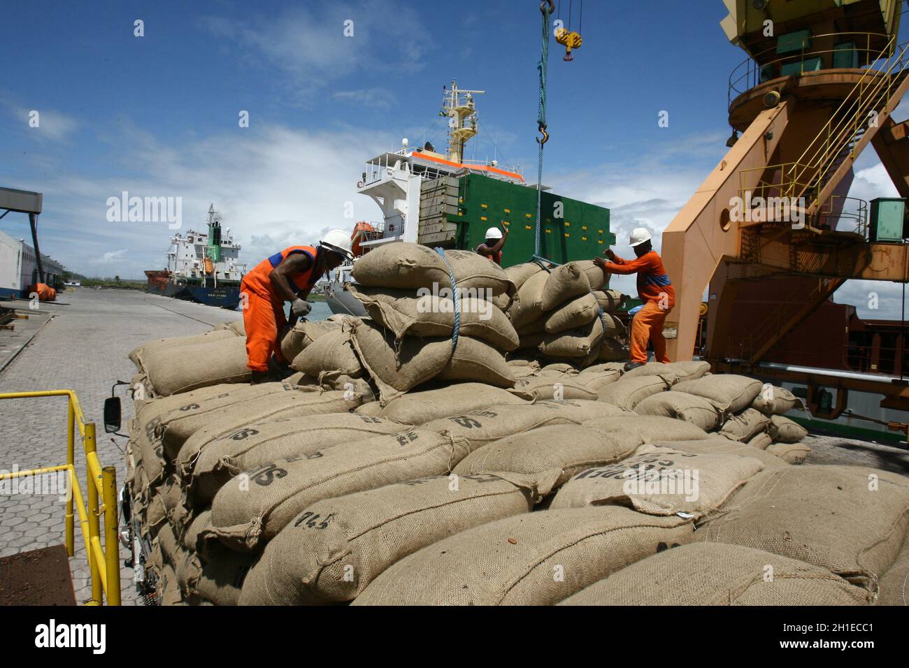 ilheus, bahia / brasilien - 26. märz 2012: Im Hafen von Ilheus, der aus der Elfenbeinküste exportiert wird, werden Arbeiter beim Auslaufen von Kakaobohnen beobachtet. *** Lokale Obergrenze Stockfoto