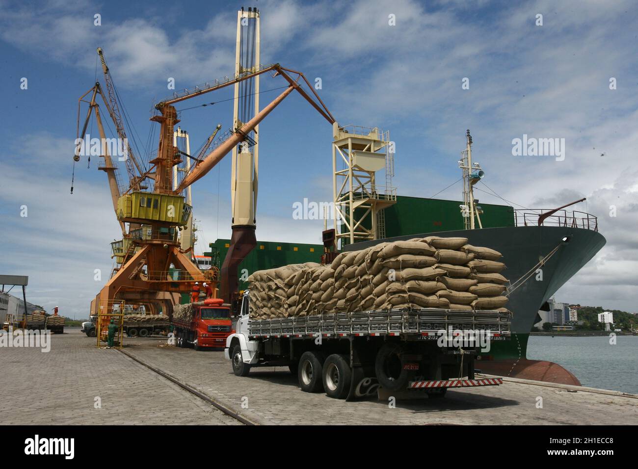 ilheus, bahia / brasilien - 26. märz 2012: Im Hafen von Ilheus, der aus der Elfenbeinküste exportiert wird, werden Arbeiter beim Auslaufen von Kakaobohnen beobachtet. *** Lokale Obergrenze Stockfoto