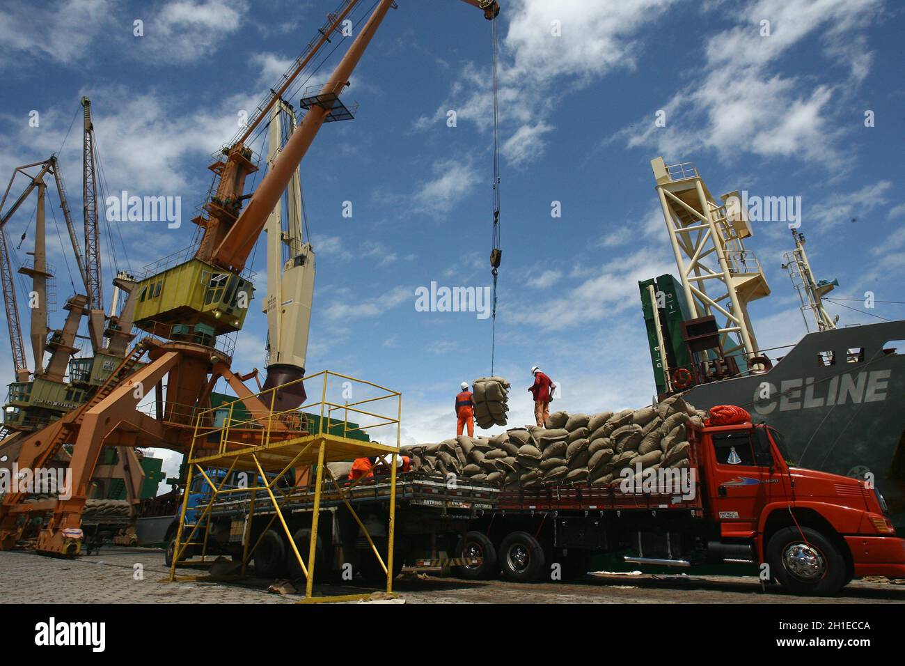 ilheus, bahia / brasilien - 26. märz 2012: Im Hafen von Ilheus, der aus der Elfenbeinküste exportiert wird, werden Arbeiter beim Auslaufen von Kakaobohnen beobachtet. *** Lokale Obergrenze Stockfoto
