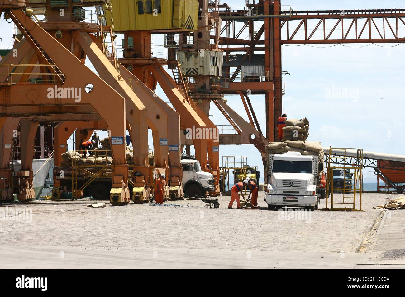 ilheus, bahia / brasilien - 26. märz 2012: Im Hafen von Ilheus, der aus der Elfenbeinküste exportiert wird, werden Arbeiter beim Auslaufen von Kakaobohnen beobachtet. *** Lokale Obergrenze Stockfoto