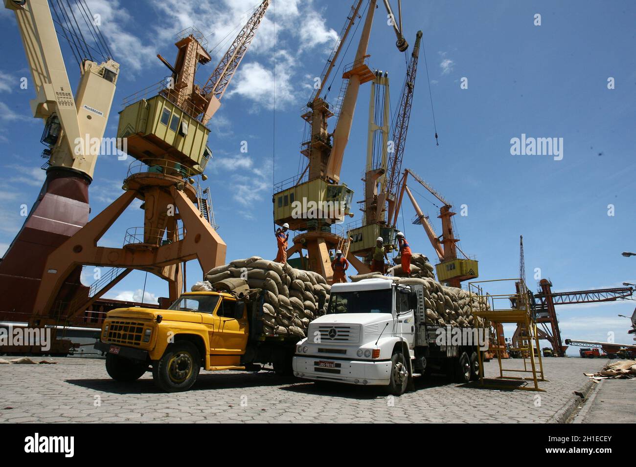 ilheus, bahia / brasilien - 26. märz 2012: Im Hafen von Ilheus, der aus der Elfenbeinküste exportiert wird, werden Arbeiter beim Auslaufen von Kakaobohnen beobachtet. *** Lokale Obergrenze Stockfoto