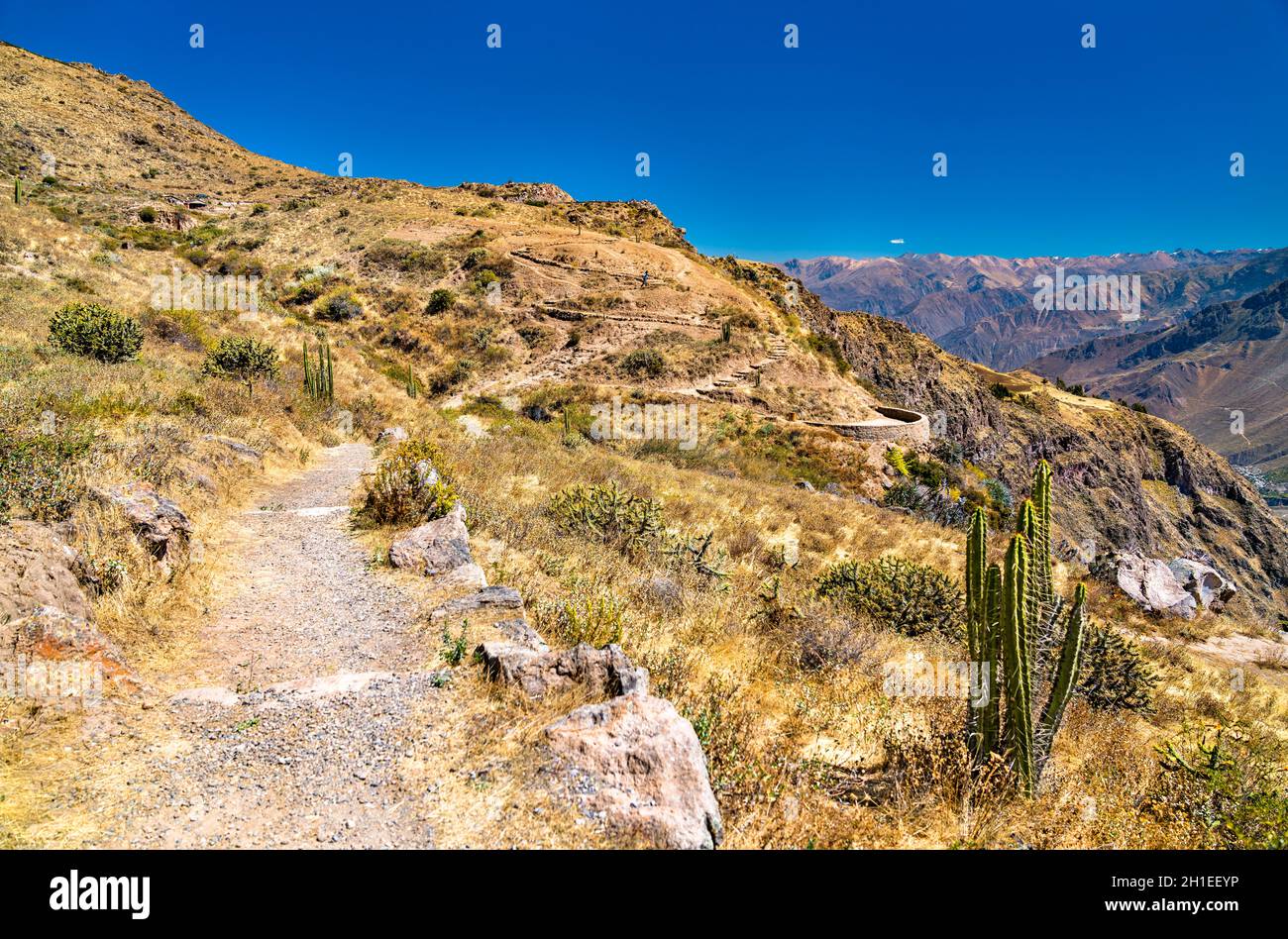 Wanderweg am Colca Canyon in Peru Stockfoto