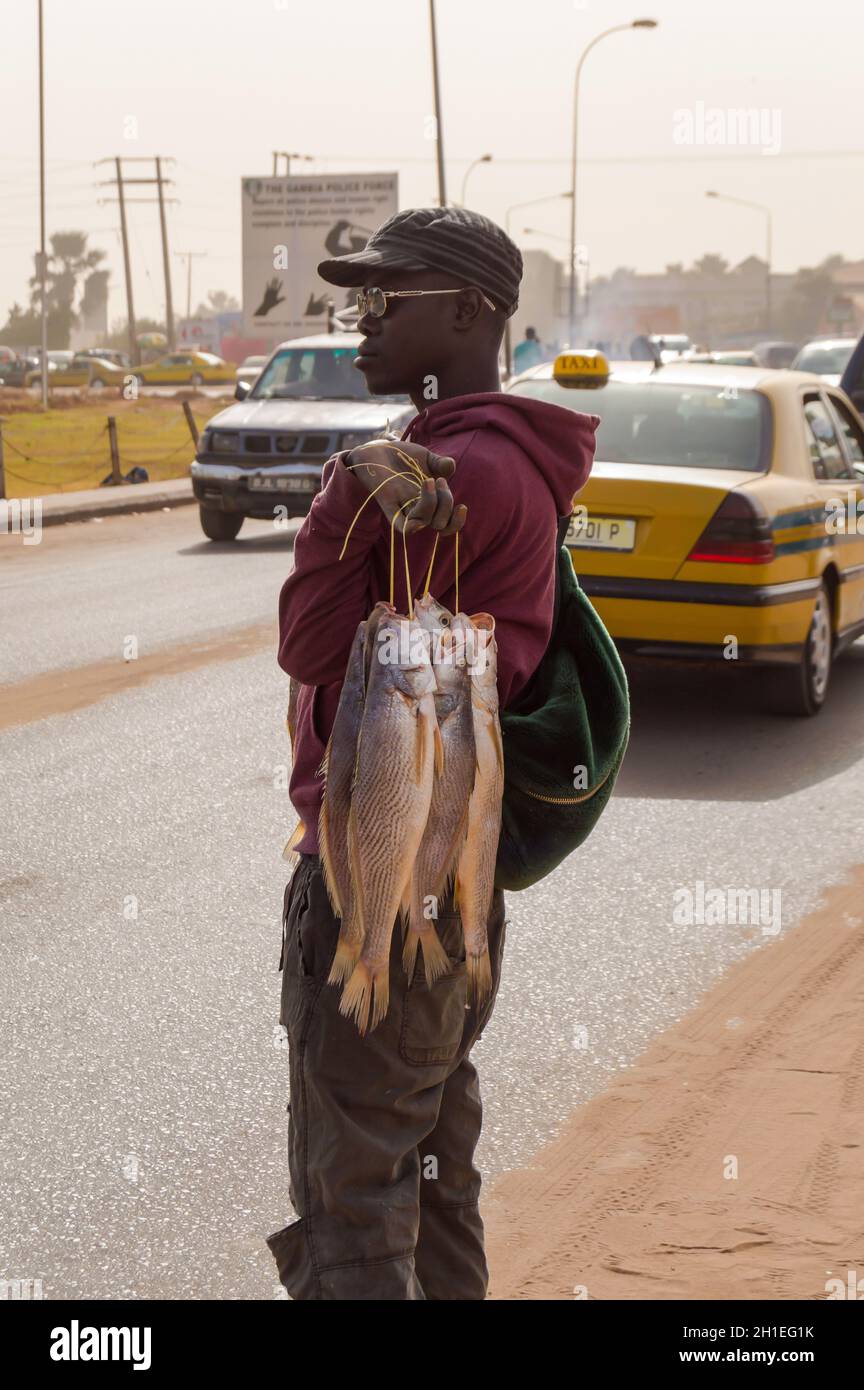 Bijilo, Gambia, Januar 2020; junger Verkäufer von frischem Fisch auf der Straße von Bijilo in Gambia, Westafrika Stockfoto