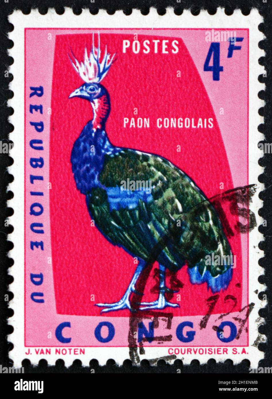 KONGO - UM 1963: Eine in Kongo gedruckte Marke zeigt den kongolesischen Pfau, Afropavo Congensis, eine im Kongo-Becken heimische Art von Peafowl, um 196 Stockfoto