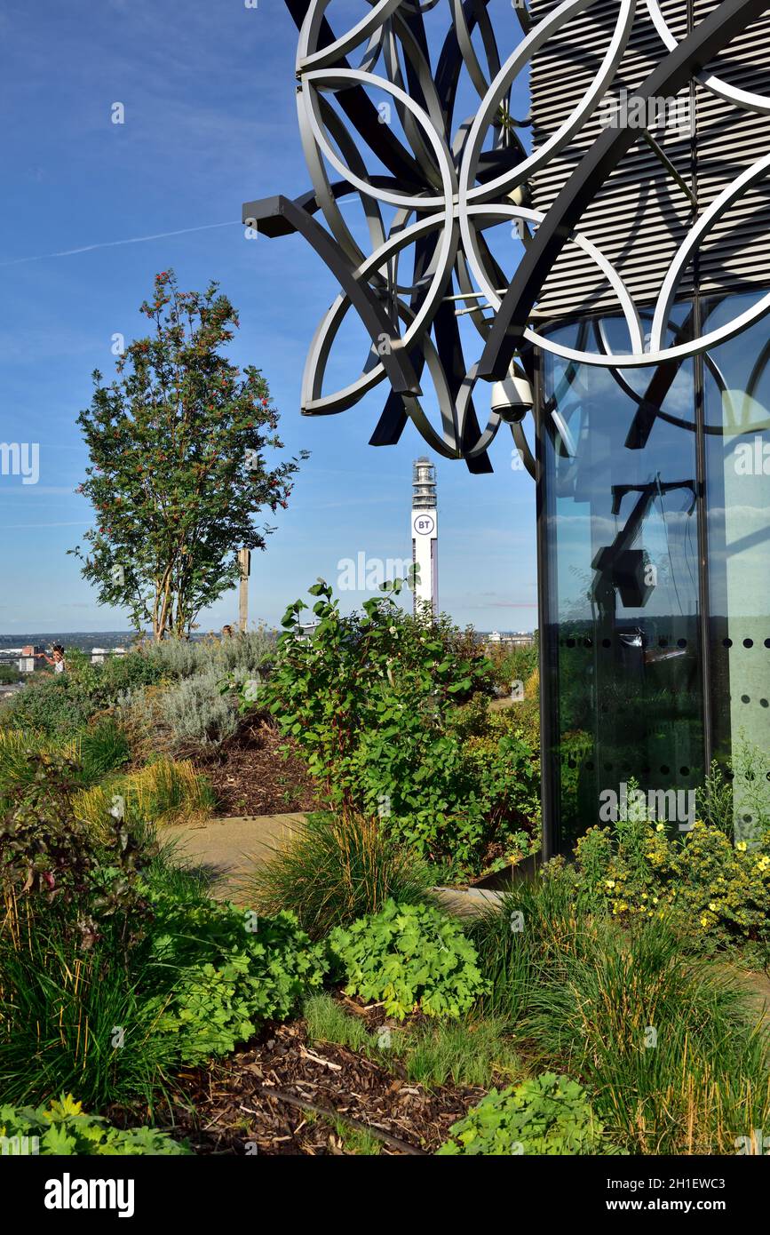 „Secret“ Dachgarten im 7. Stock der Birmingham Library, Großbritannien. Öffentlich zugänglich Stockfoto